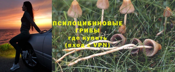 кокс Арсеньев