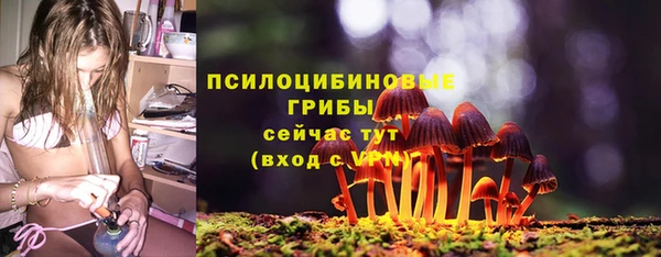 кокс Арсеньев