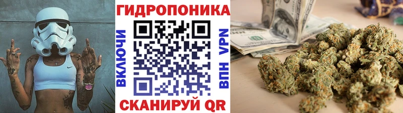 Бошки марихуана сатива где продают наркотики Ливны